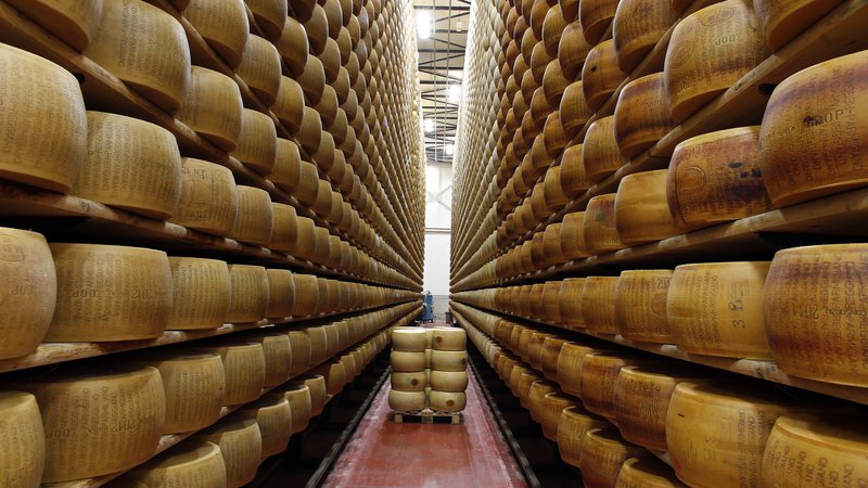 Fotografija: Paški sir spada v kategorijo najboljših na svetu. FOTO: REUTERS/Stefano Rellandini 