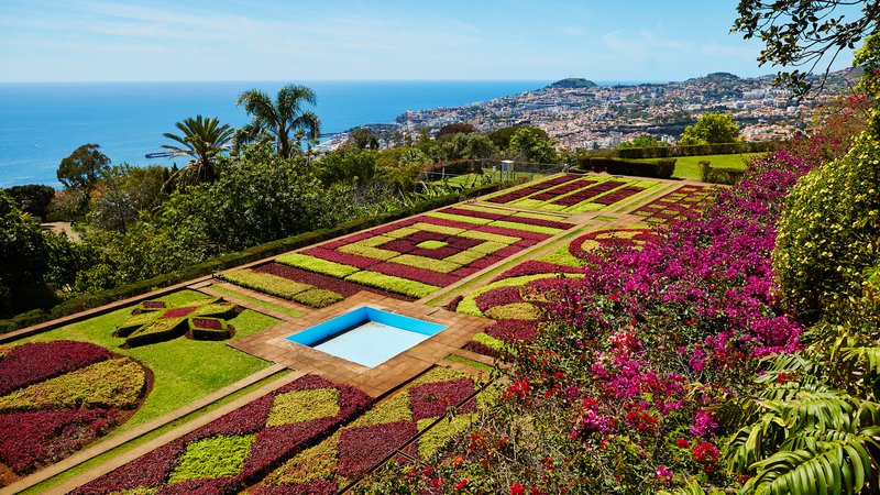 Fotografija: Madeira, FOTO: Shutterstock