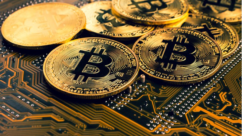 Fotografija: Leto bitcoina, kriptovalut in blockchain tehnologije. Foto: Shutterstock
