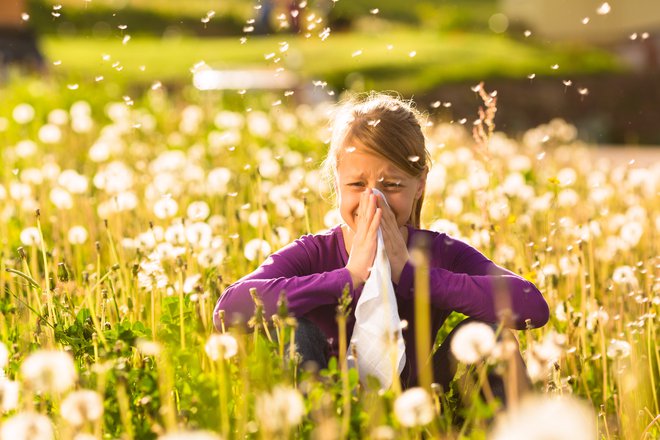Alergija. Foto: Shutterstock
