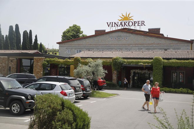 Zmagovalna vina Vinakoper so na voljo v vseh prodajalnah Vinakoper v Kopru Foto: Vidic Leon/Delo
