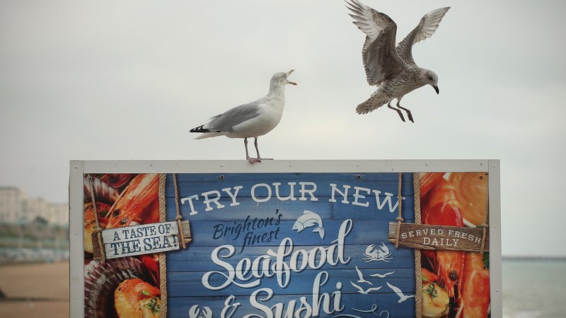 Fotografija: Motiv z ulice. Brighton, Anglija, Velika Britanija 16.oktobra 2018. [morska hrana,hrana,sushi,restavracije,gostilne,lokali,oglaševanje,reklame,reklamne table,morje,obala,pesek,mivka,galebi,ptice,ptiči,živali,ulice,vreme,urbana mesta,obmorska mesta,turizem,gostinska ponudba,gostistvo,kulinarika,Brighton,Anglija,Velika Britanija,motivi]