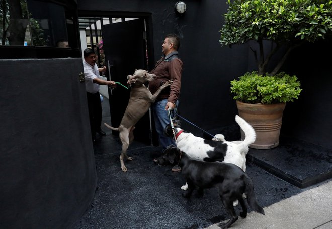Gospodinjski pomočniki pomočnikov ne le kuhajo, perejo, likajo, ampak tudi sprehajajo pse. Foto: Reuters