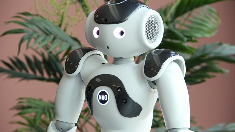 Fotografija: Bo prihodnost robotizirana? Foto: Celjski sejem