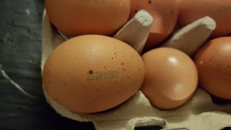 Fotografija: Kar 20 odstokov Britancev je prepričanih, da jajc ni mogoče zamrzniti. Pa jih brez težav lahko. Foto: Dokumentacija Dela