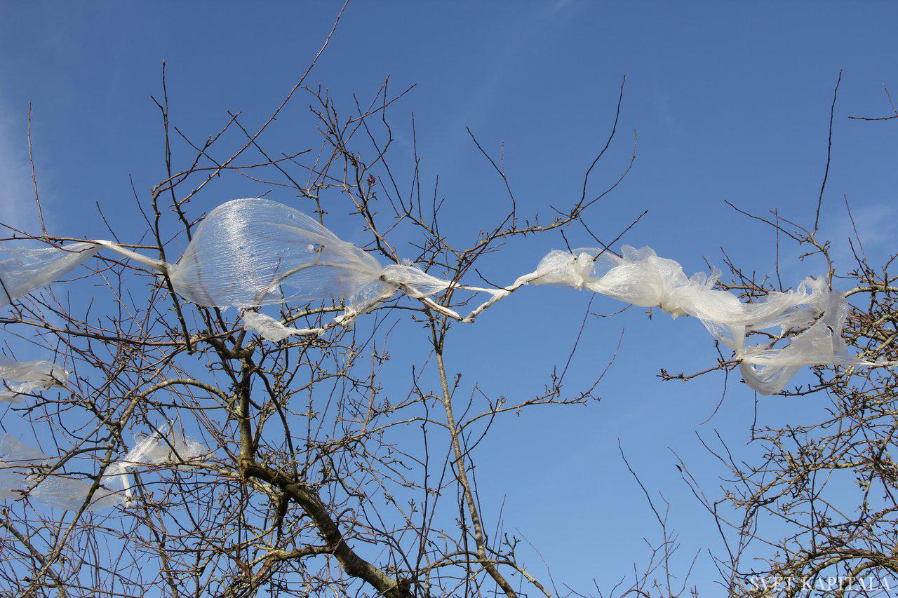 Fotografija: Plastika je globalni problem. Foto: Shutterstock