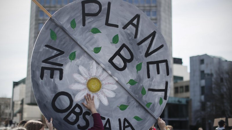 Fotografija: Tudi pri nas so mladi na marčevskem Podnebnem štrajku opozorili, da so nujne radikalne spremembe, saj planet B ne obstaja. Foto: Uroš Hočevar