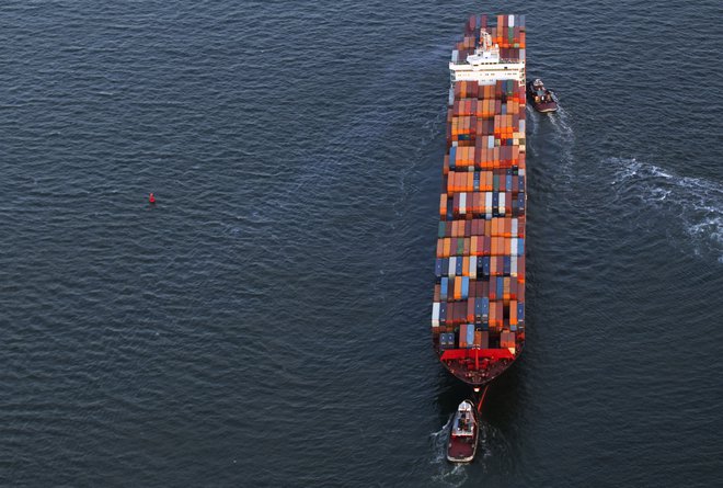 Ob koncu prvega letošnjega četrtletja so prevozi z največjimi ladjami za razsuti tovor dosegali le tretjino cene, potrebne za pokritje vseh stroškov poslovanja. Foto Reuters