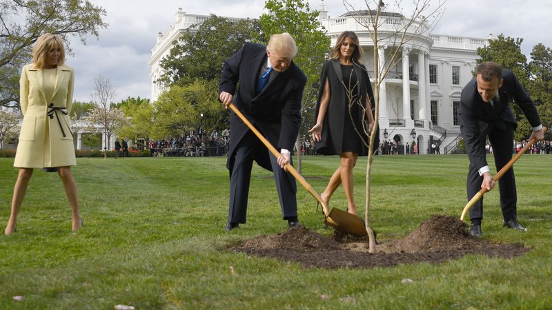 Fotografija: Morda gre v drugo bolje. Macron bo zopet posadil Trumpu drevo.