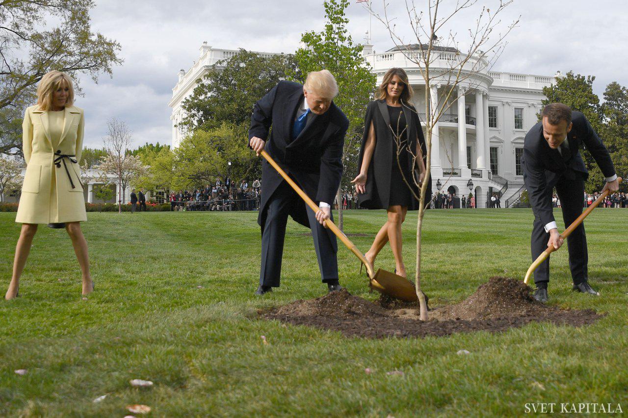 Fotografija: Morda gre v drugo bolje. Macron bo zopet posadil Trumpu drevo.