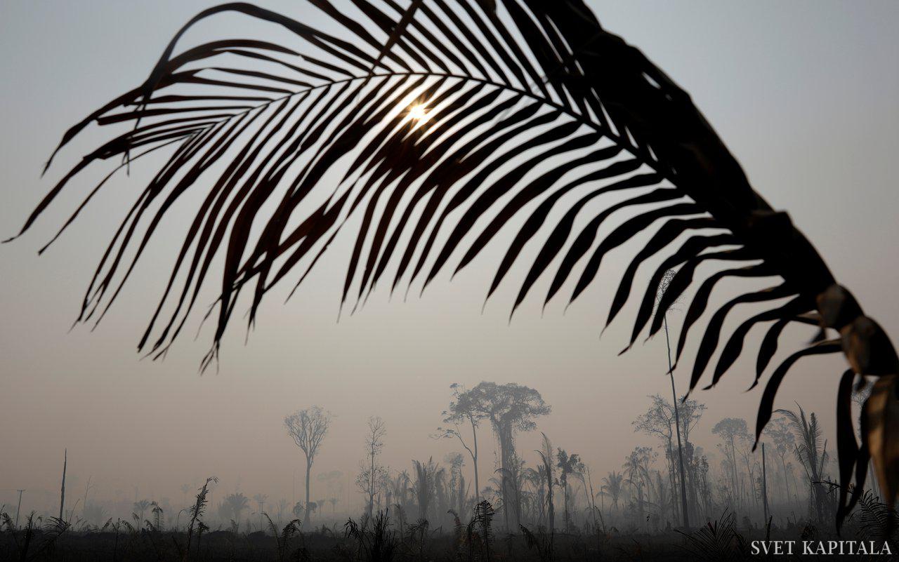 Fotografija: Po podatkih brazilskega nacionalnega inštituta za raziskave vesolja (Inpe) je bilo na območju, velikem kot 160 Slovenij (3,2 milijona kvadratnih kilometrov), od januarja do danes več kot 74.000 manjših ali večjih požarov. Foto: Reuters