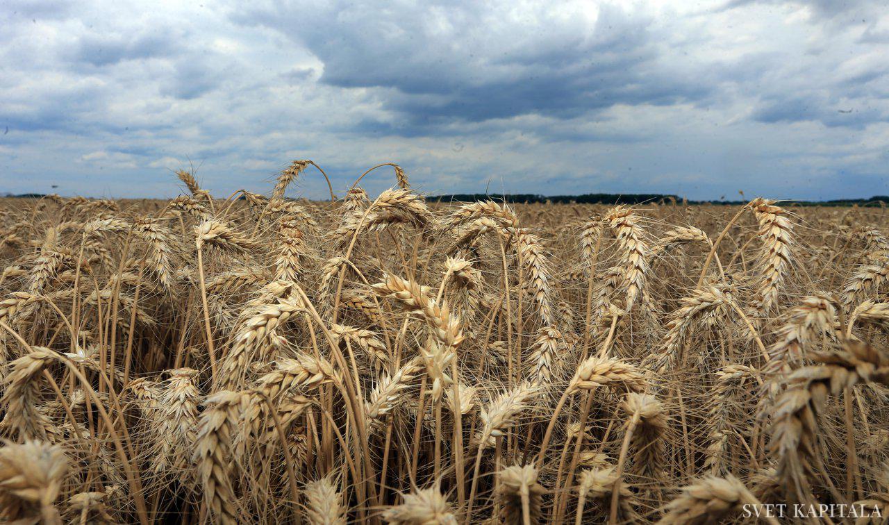 Fotografija: Ključna razvojna priložnost v Pomurju je zdravju prijazna ponudba. Foto: Tadej Regent/Delo
