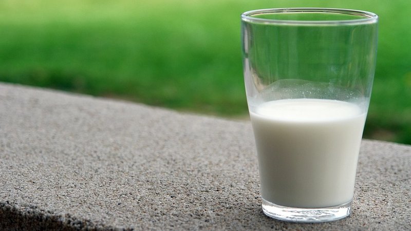 Fotografija: Rastlinski napitki niso zadosten nadomestek mleku. Foto: Pixabay