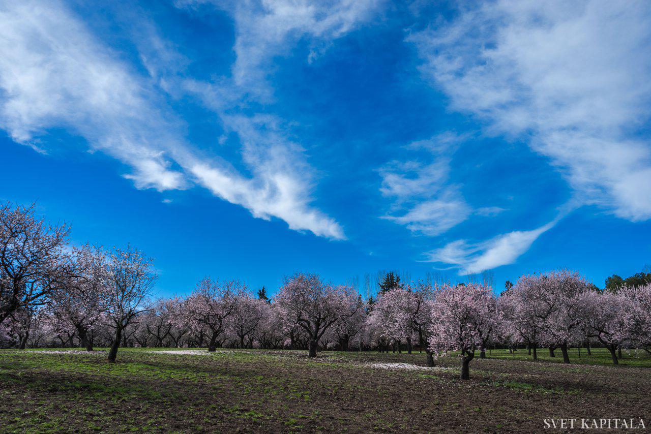 Fotografija: Foto Pixabay