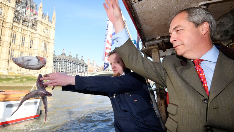 Fotografija: Britanski evroskeptik in glasni zagovornik brexita Nigel Farage in ustanovitelj Fishing for Leave, Aaron Brown, sta simbolično vrgla ribe v reko Temzo, s čimer sta dala vedeti, da po brexitu Velika Britanija ne bo spoštovala ribolovnih kvot. Foto Reuters