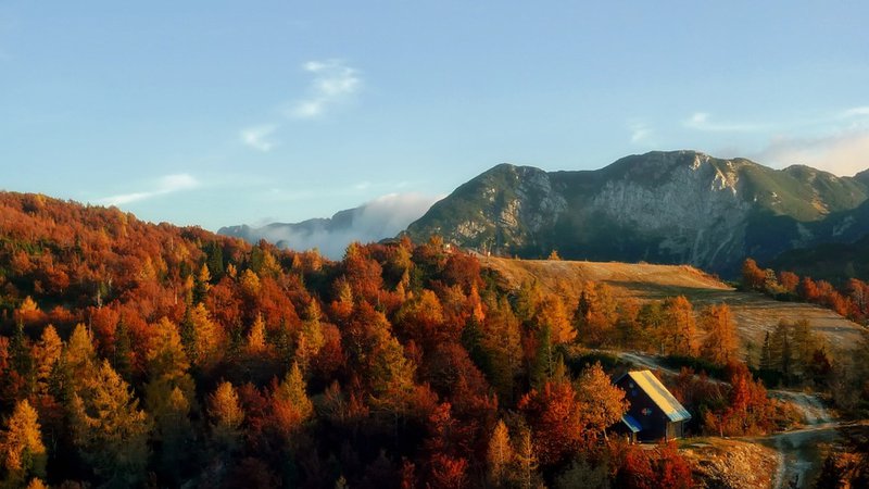 Fotografija: Posebej izpostavljajo tudi lepoto slovenskih gozdov, "ki pokrivajo polovico površja države". Pixabay