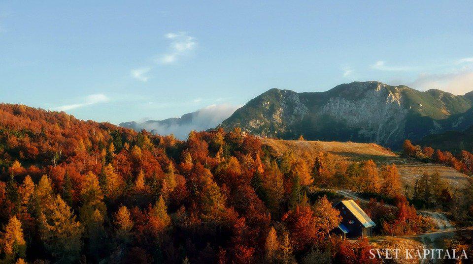 Fotografija: Posebej izpostavljajo tudi lepoto slovenskih gozdov, "ki pokrivajo polovico površja države". Pixabay