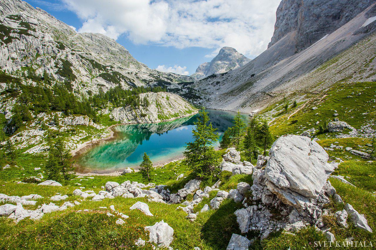 Fotografija: Foto Aleš Zdešar