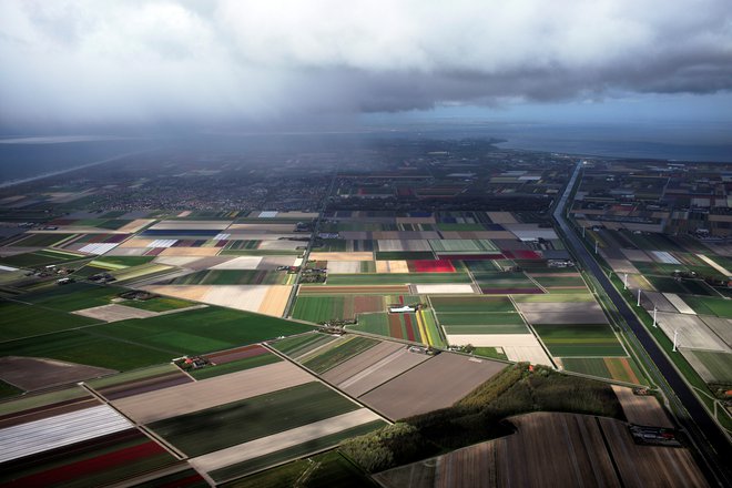 Nizozemske visokotehnološke družbe so pripomogle, da je Nizozemska postala drugi največji izvoznik kmetijskih izdelkov. LED-razsvetljava, namakalni sistemi in proti suši odporno seme omogočajo, da kmetje ostajajo konkurenčni tudi v času, ko se zmanjšujejo