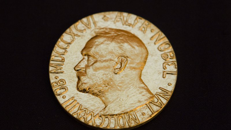 Fotografija: The front of the Nobel medal awarded to this year's Nobel Peace Prize Laureate jailed Chinese dissident Liu Xiaobo is seen in this picture taken December 8, 2010. Chinese dissident Liu Xiaobo was awarded the Nobel Peace Prize in an Oslo ceremony derided by Beijing as a farce, and dedicated it from his prison cell to the 