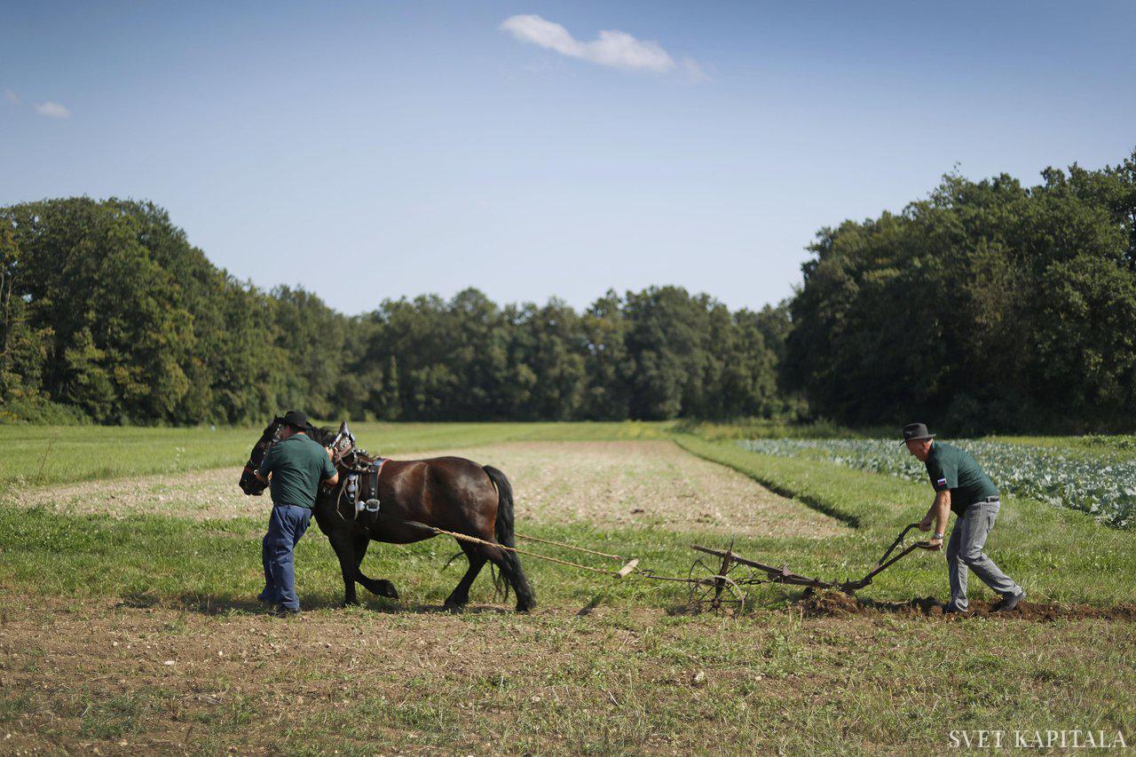 Fotografija: Dodali so, da ne morejo pristati na tiste zahteve, ki nasprotujejo pravu EU in ki niso v skladu s slovensko zakonodajo, zlasti kar se tiče zaprtij meja ter uporabo fitofarmacevtskih sredstev.