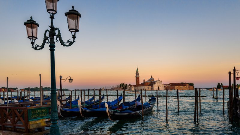 Fotografija: Benetke so brez ljudi znova oživele.