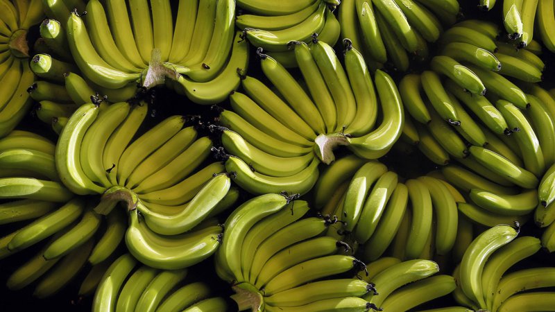Fotografija: Veliko držav izvoznic je v karanteni, zato se bodo banane pokvarile še preden jih bodo uspeli poslati na druge celine.