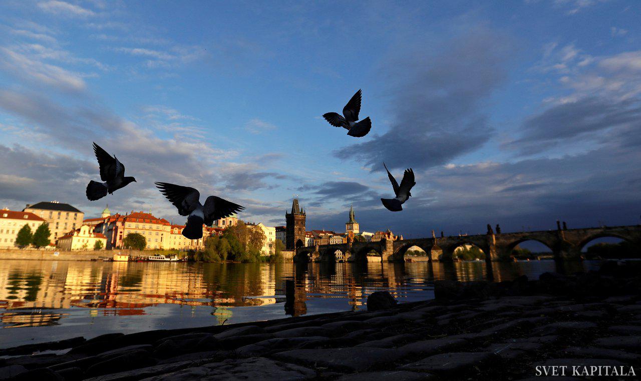Fotografija: Na webinarjih, spletnih delavnicah itd. so dejansko prisotni tisti, ki jih tematika resnično zanima, ni pa tistih, ki hodijo na tovrstne dogodke prvenstveno zato, da so vidni. FOTO: Reuters