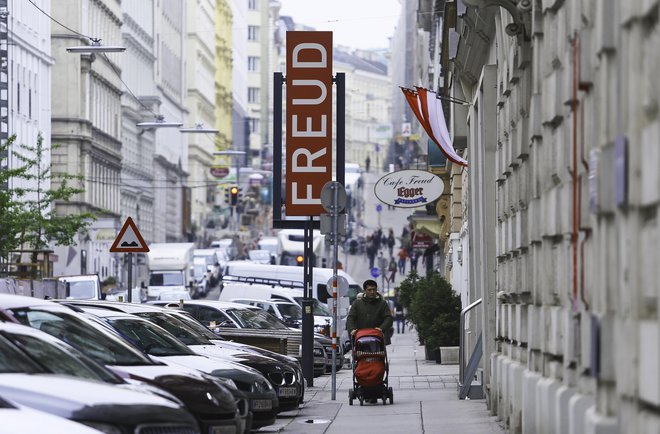 Dunajski mestni svet je že konec leta 2014 sprejel načrt mobilnosti mesta. FOTO: Jože Suhadolnik/Delo