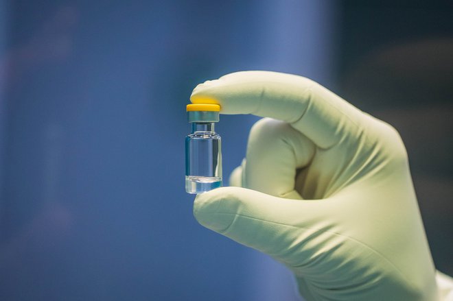 Cepivo vendarle še ni pripravljeno za uporabo. Trenutno je razvoj v tretji fazi kliničnih testiranj. FOTO: Hartmut Boesener/Reuters