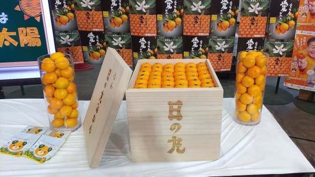 Zaboj, v katerem je bilo 20 kilogramov satsuma mandarin, je bil prodan za izjemnih milijon japonskih jenov oziroma 8151 evrov. FOTO: JA Nishiuwa