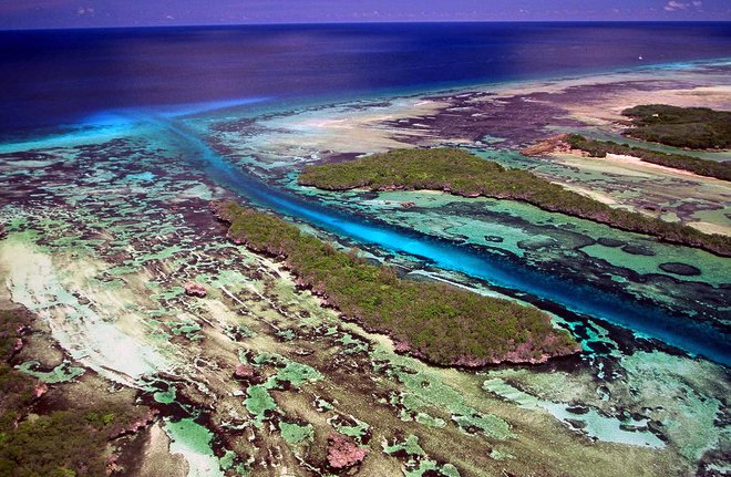 Aldabra, največji dvignjeni koralni atol na svetu v Indijskem oceanu, ki leži blizu Madagaskarja. FOTO: REUTERS