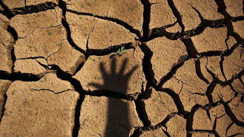Fotografija: Svetovna banka bo s finančno pomočjo pripomogla k sanaciji sušnih območij Afrike. FOTO: REUTERS/Nacho Doce 