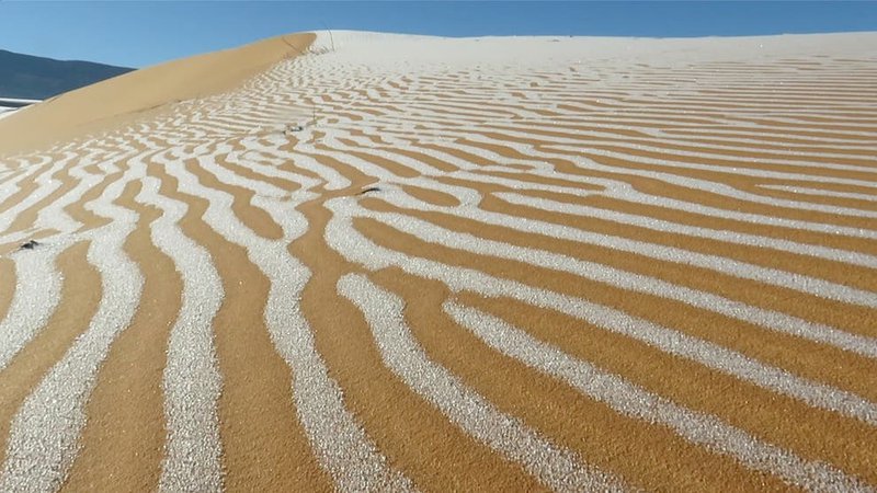 Fotografija: Sahara v torek 19.1. 2020. FOTO: Karim Bouchetata / REUTERS