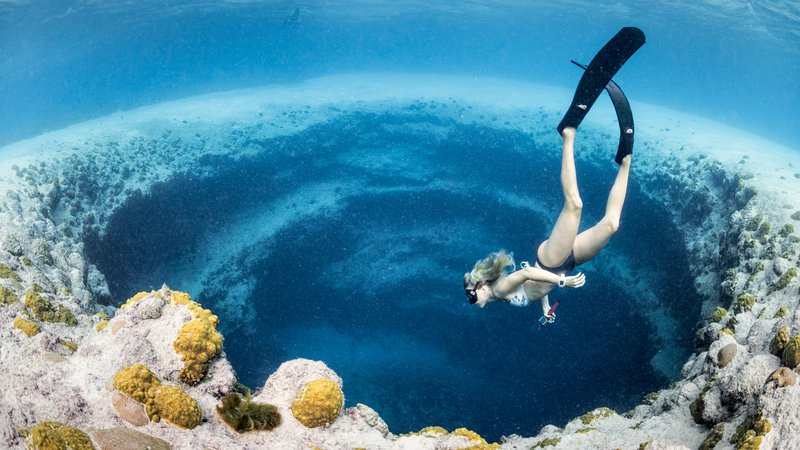 Fotografija: Bahami, raj za potapljače in ostale uživače. Foto: Samo Jeranko / https://www.apnea.si/
