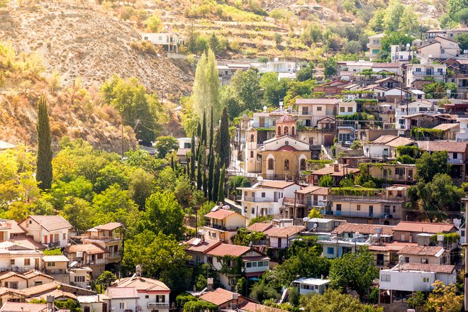 Ciper. Foto: Shutterstock