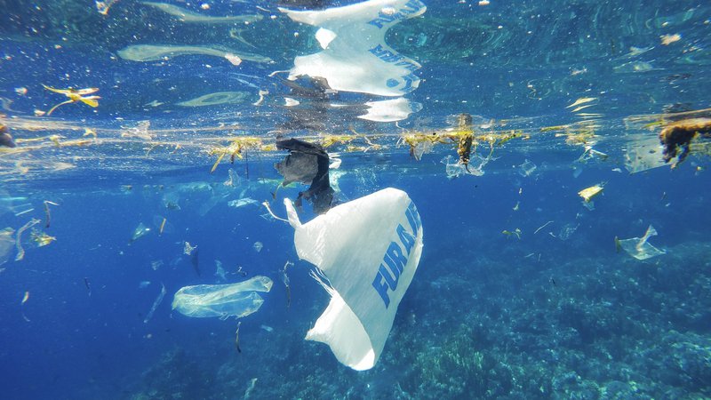 Fotografija: Odpadna plastična embalaža kot velik okoljski problem, FOTO: Shutterstock