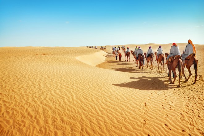 Puščava Sahara. Foto: Shutterstock