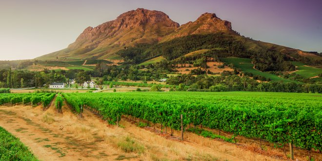 Južna Afrika, Foto: Shutterstock