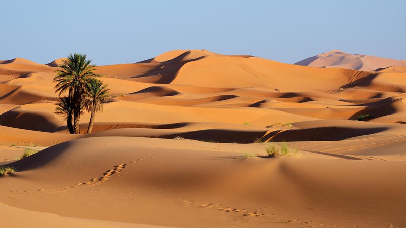 Fotografija: Če bi bila Sahara država, bi bila peta največja na svetu. Foto: AlexmarPhoto/Getty Images/iStockphoto