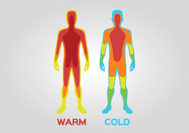 kemične reakcije v našem telesu na temperaturo reagirajo eksponentno. Foto: Shutterstock