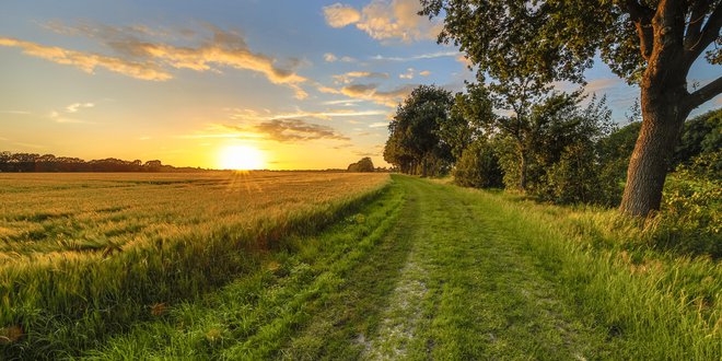 Nizozemska, podeželje, Foto: Shutterstock