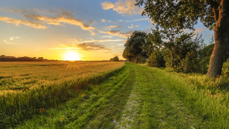 Fotografija: Nizozemska, podeželje, Foto: Shutterstock