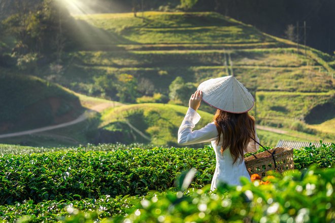 Vietnam, Foto: Shutterstock