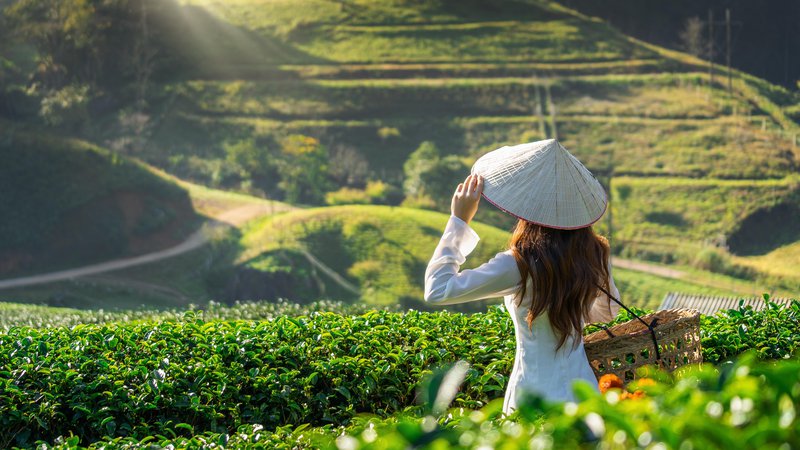 Fotografija: Vietnam, Foto: Shutterstock