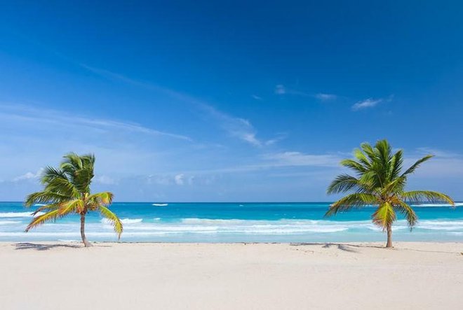 Bavaro Beach, Punta Cana v Dominikanski republiki. Foto: Posnetek zaslona/Pinterest