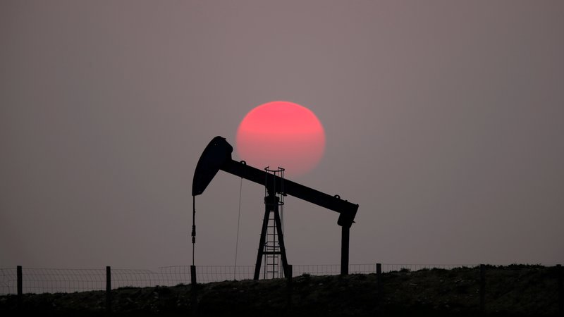 Fotografija: Črpanje nafte na kopnem, Francija, 28. marec, 2019. Foto: Christian Hartmann/Reuters