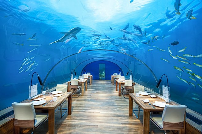 Podvodna restavracija Ithaa, Maldivi. Foto: Posnetek zaslona/Luxury Columnist