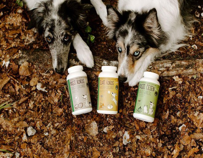 Zdravi in naravni izdelki za pse. Foto: osebni arhiv/Majdi Kosi
