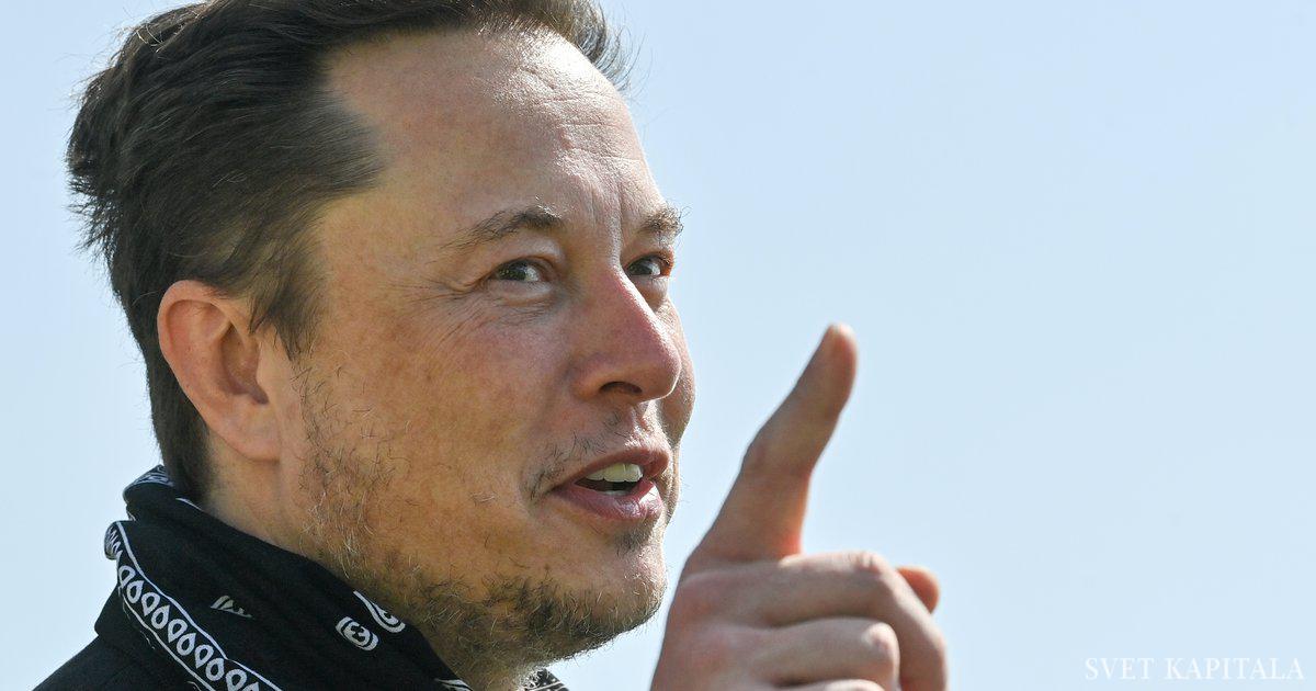 Elon Musk sucht slowenische Arbeiter für seine deutsche Gigafabrik